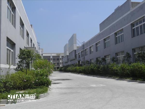 重庆青田木门是重庆木门行业*